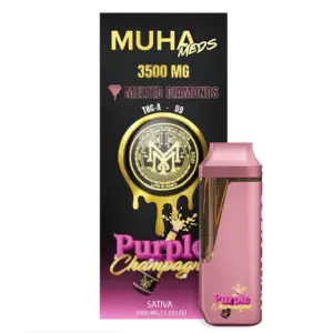 Top Vapes This Year Best Disposable Pod and Advanced Vapes