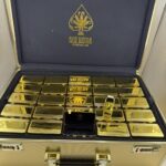 Ace Ultra Premium 2G Disposable